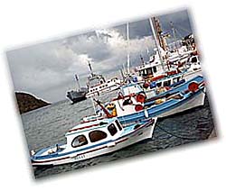 The Mediterranean fishing boats of patmos