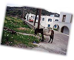 Traditonal Scene on Patmos