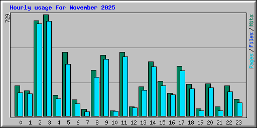 Hourly usage for November 2025