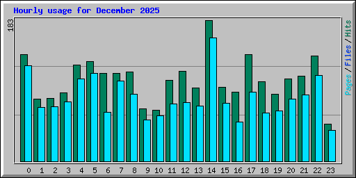 Hourly usage for December 2025