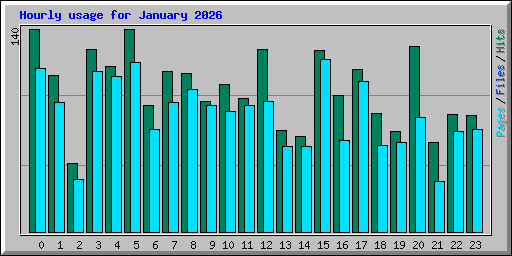 Hourly usage for January 2026