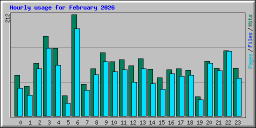 Hourly usage for February 2026