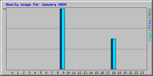 Hourly usage for January 2026