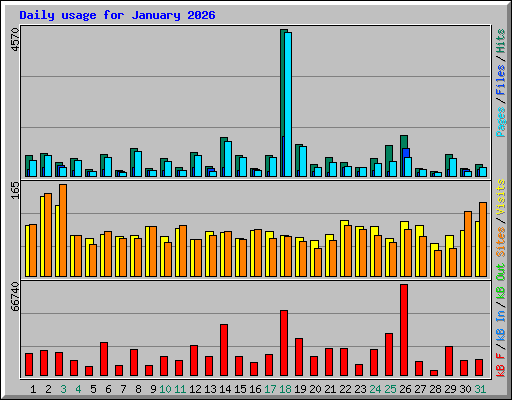 Daily usage for January 2026