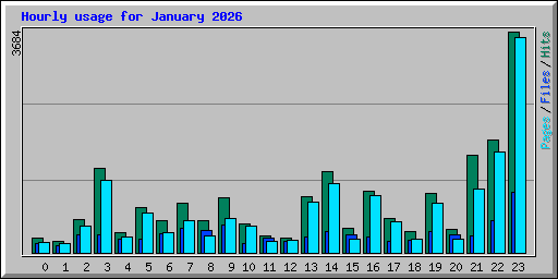 Hourly usage for January 2026