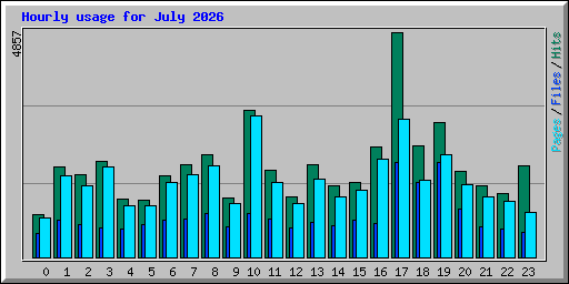 Hourly usage for July 2026