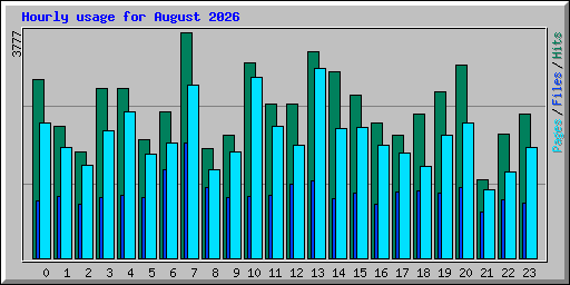 Hourly usage for August 2026