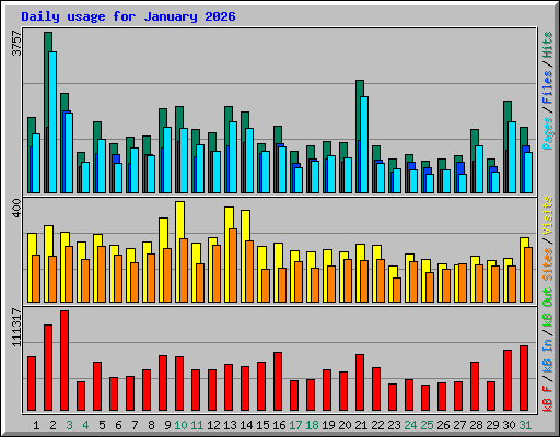 Daily usage for January 2026