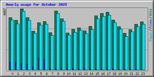 Hourly usage for October 2025