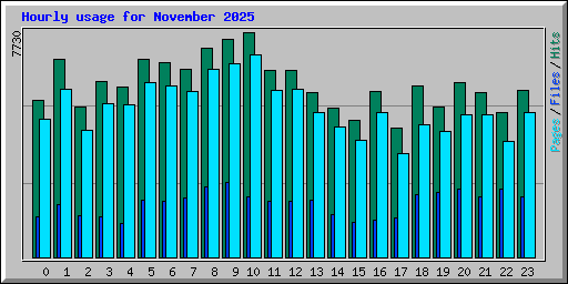 Hourly usage for November 2025