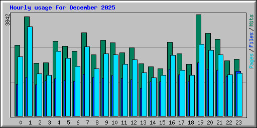 Hourly usage for December 2025