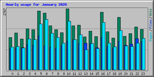 Hourly usage for January 2026