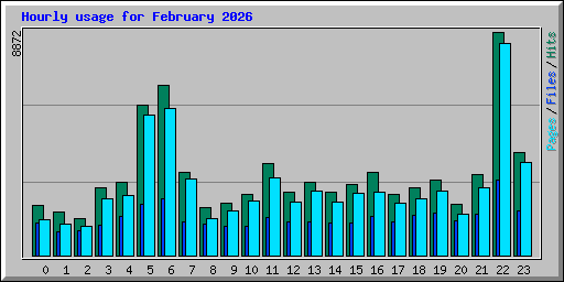 Hourly usage for February 2026