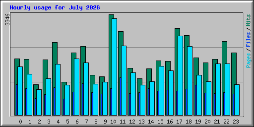 Hourly usage for July 2026