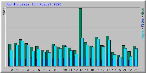Hourly usage for August 2026