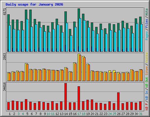 Daily usage for January 2026