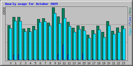 Hourly usage for October 2025