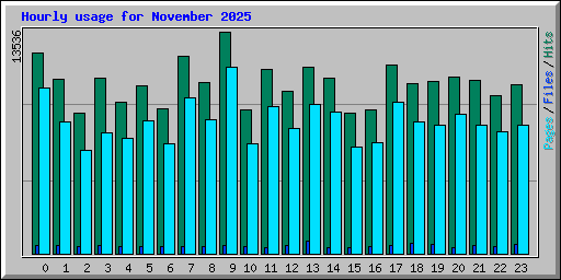 Hourly usage for November 2025