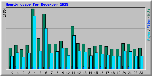 Hourly usage for December 2025