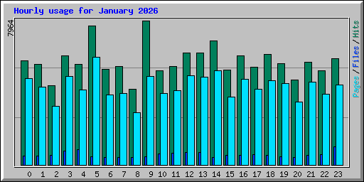 Hourly usage for January 2026