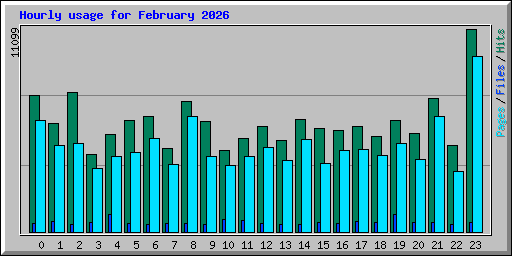 Hourly usage for February 2026