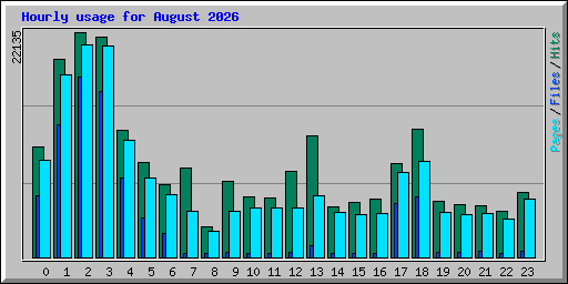 Hourly usage for August 2026